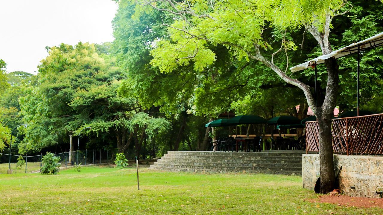 Malwathu Oya Caravan Park Bed and Breakfast Anuradhapura Esterno foto